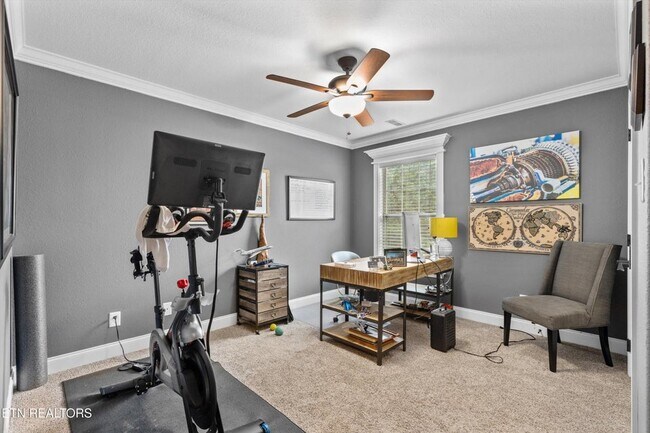 Building Photo - 1017 Brighton Dr