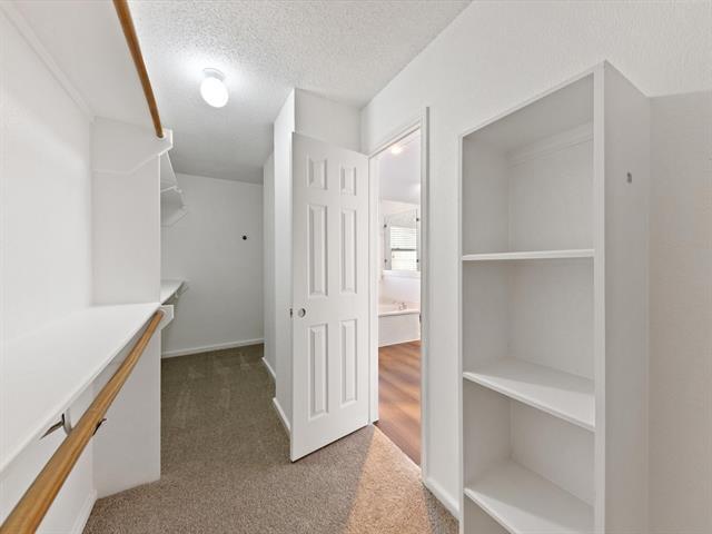 Building Photo - 2213 Loretta Ln