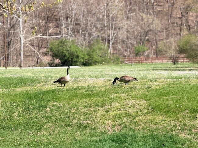 Building Photo - Charming West Nashville Condo with Designer Kitchen & Private Patio Access