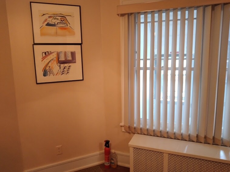 Dining Room window - 255 Wilcox St