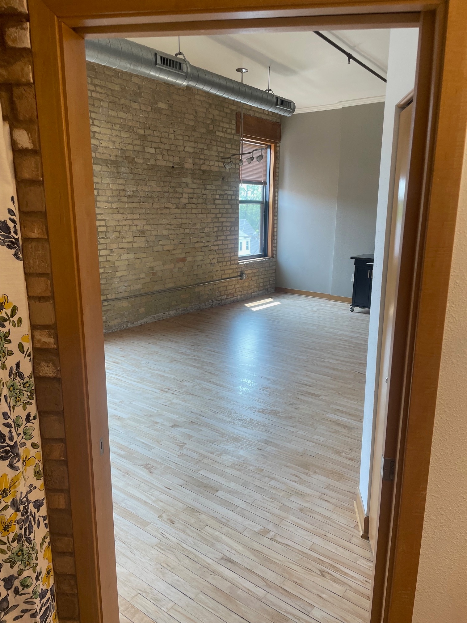 Looking out of bathroom door - 1017 S 2nd St