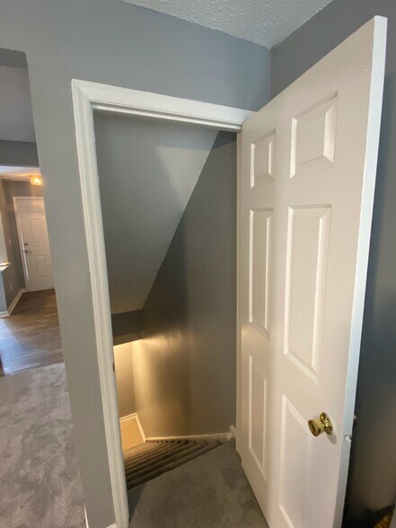 Stairs to lower level - 541 Lex Dr