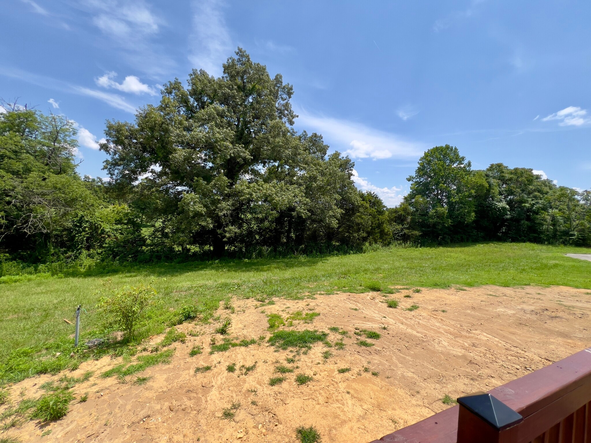 Exterior Backyard - 1143 Spurlock Dr