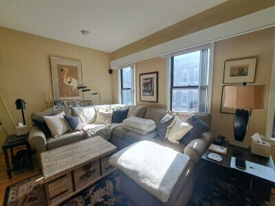 Primary Photo - 195 Endicott St