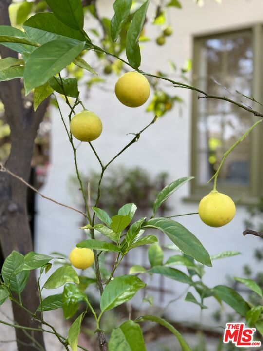 Building Photo - 951 N Martel Ave