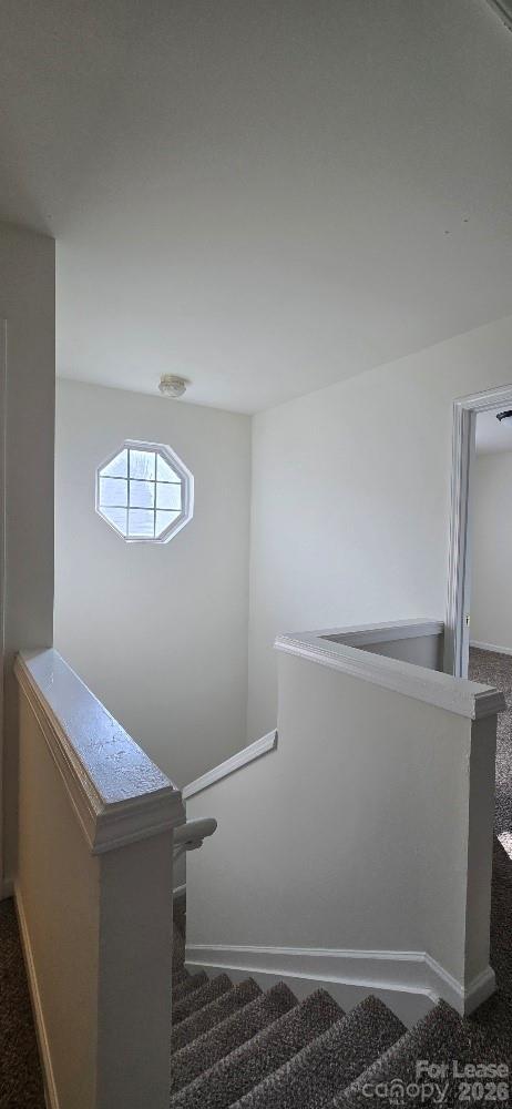 Building Photo - 5320 Peach Pl Ln