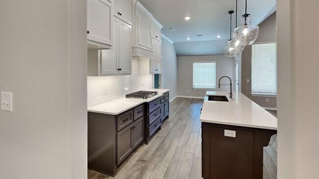 Building Photo - Luxury 4 Bedroom 3 Bathroom Home in Lone O...