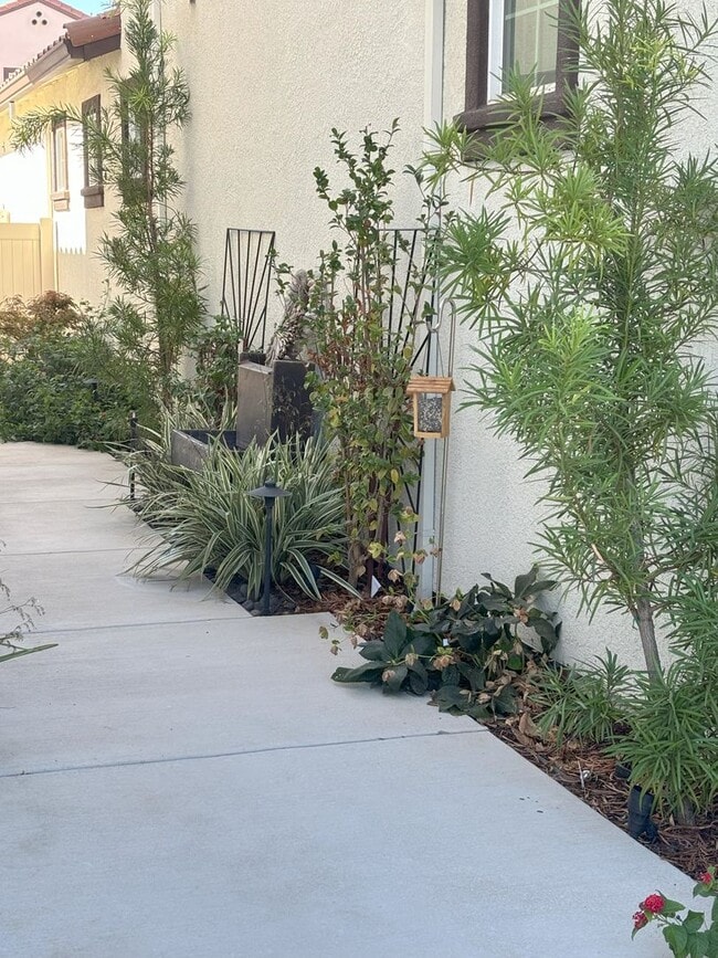 Building Photo - Beautiful Roseville House