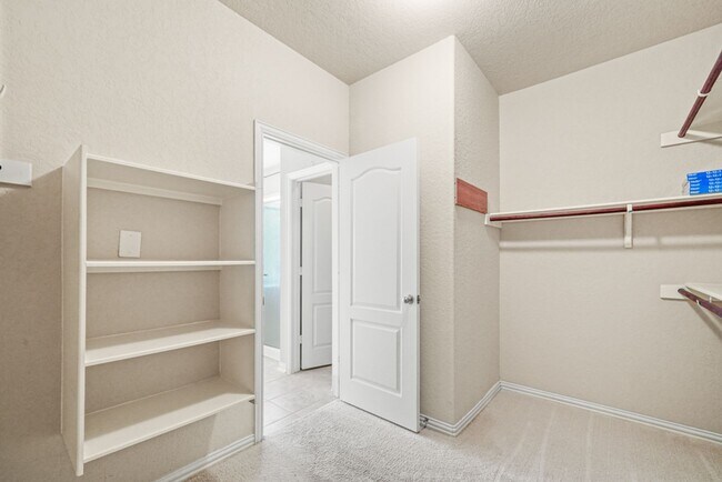 Building Photo - New Braunfels Beauty with plenty of SPACE!