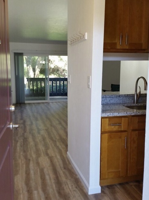 Building Photo - 1459 N Camino Alto