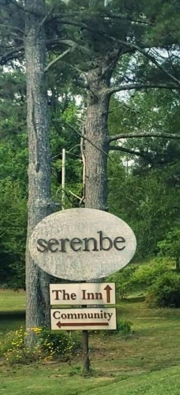 Building Photo - 10671 Serenbe Ln