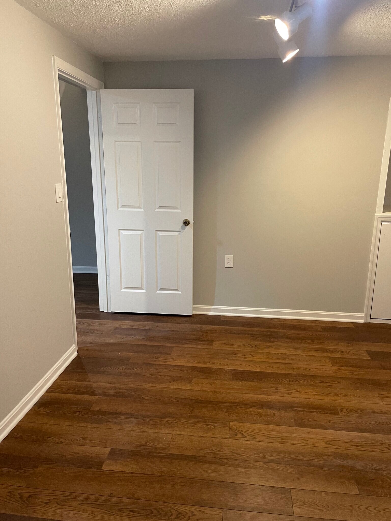 Basement guestroom - 3922 Kathryn Jean Ct