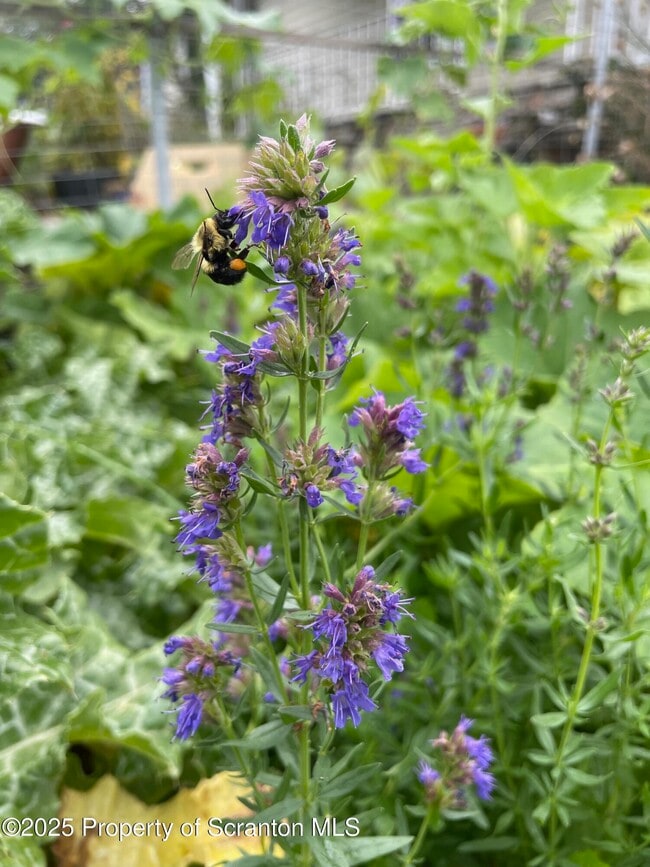 Building Photo - 910 Bernard Ave