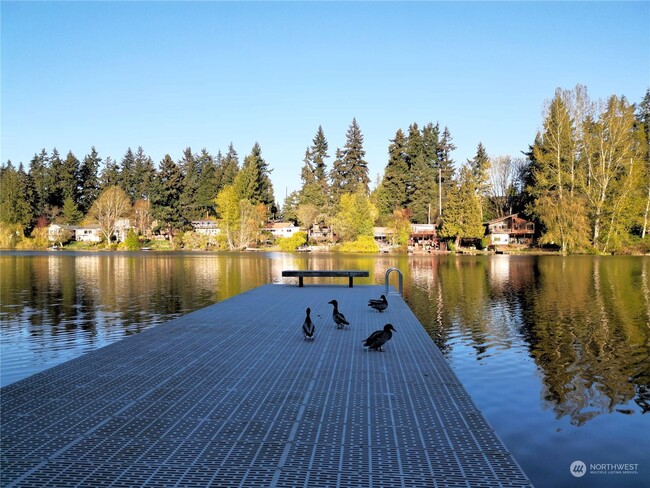 Community dock on Echo Lake - 19414 Aurora Ave N
