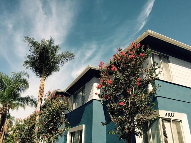 Building Photo - 4033 Palmwood