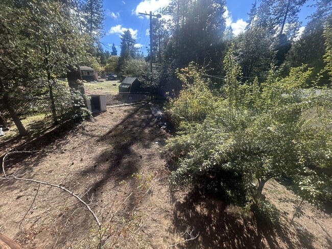 Building Photo - Quaint Log Mountain Cabin for Rent