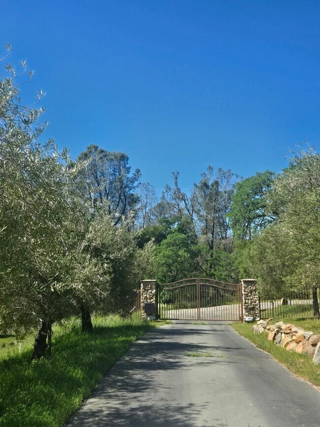 Building Photo - 4979 Florence Ct