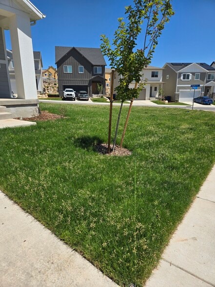 Building Photo - 1508 W Charmer Ln