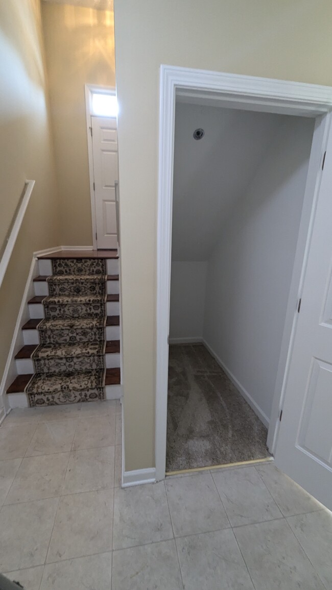 Stairs to the Terrace level & Storage - 221 Village Square Dr