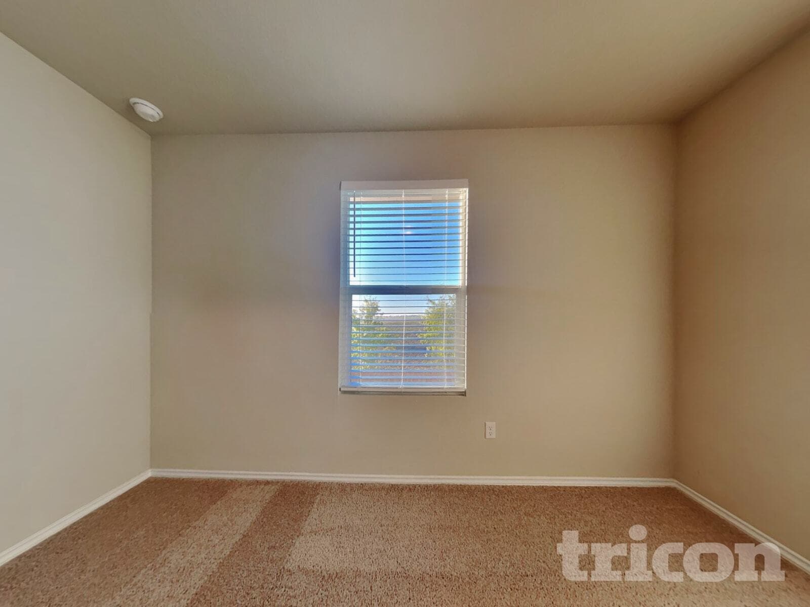 Building Photo - 3512 Catlett Crk Rd