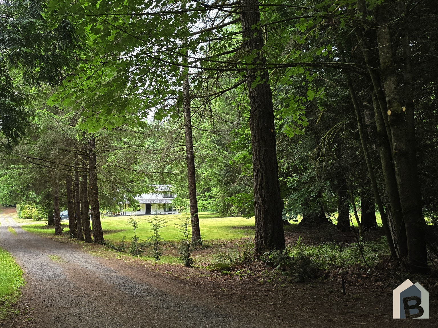 Beautiful entrance surrounded by mature evergreens - 20981 Port Gamble Rd NE
