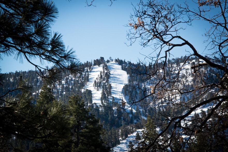 Building Photo - 1010 Fenway Dr