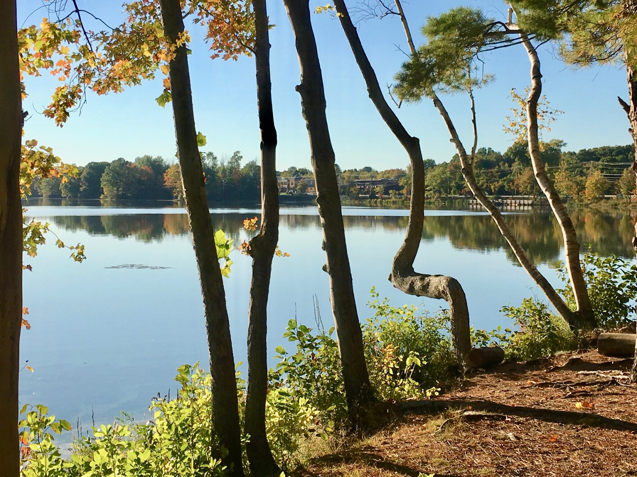 Building Photo - 122 W Central St