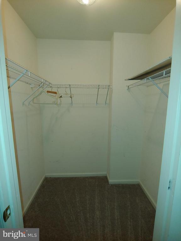 Building Photo - 2308 Turnbridge Ct