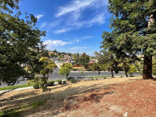 Building Photo - Wonderful 3 Bedroom with 2 Bath Downstairs Unit.