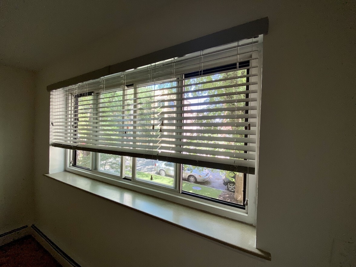 Living room window view. - 515 W Wrightwood Ave
