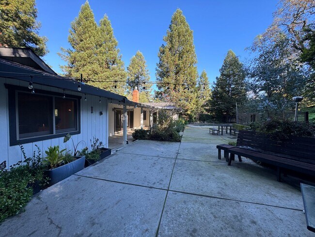 Building Photo - Gorgeous Single Level Home with Pool in Al...