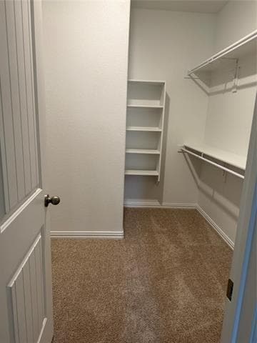 Building Photo - 4013 Amethyst Dr