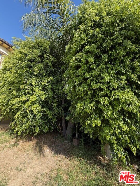 Building Photo - 1126 Yale St