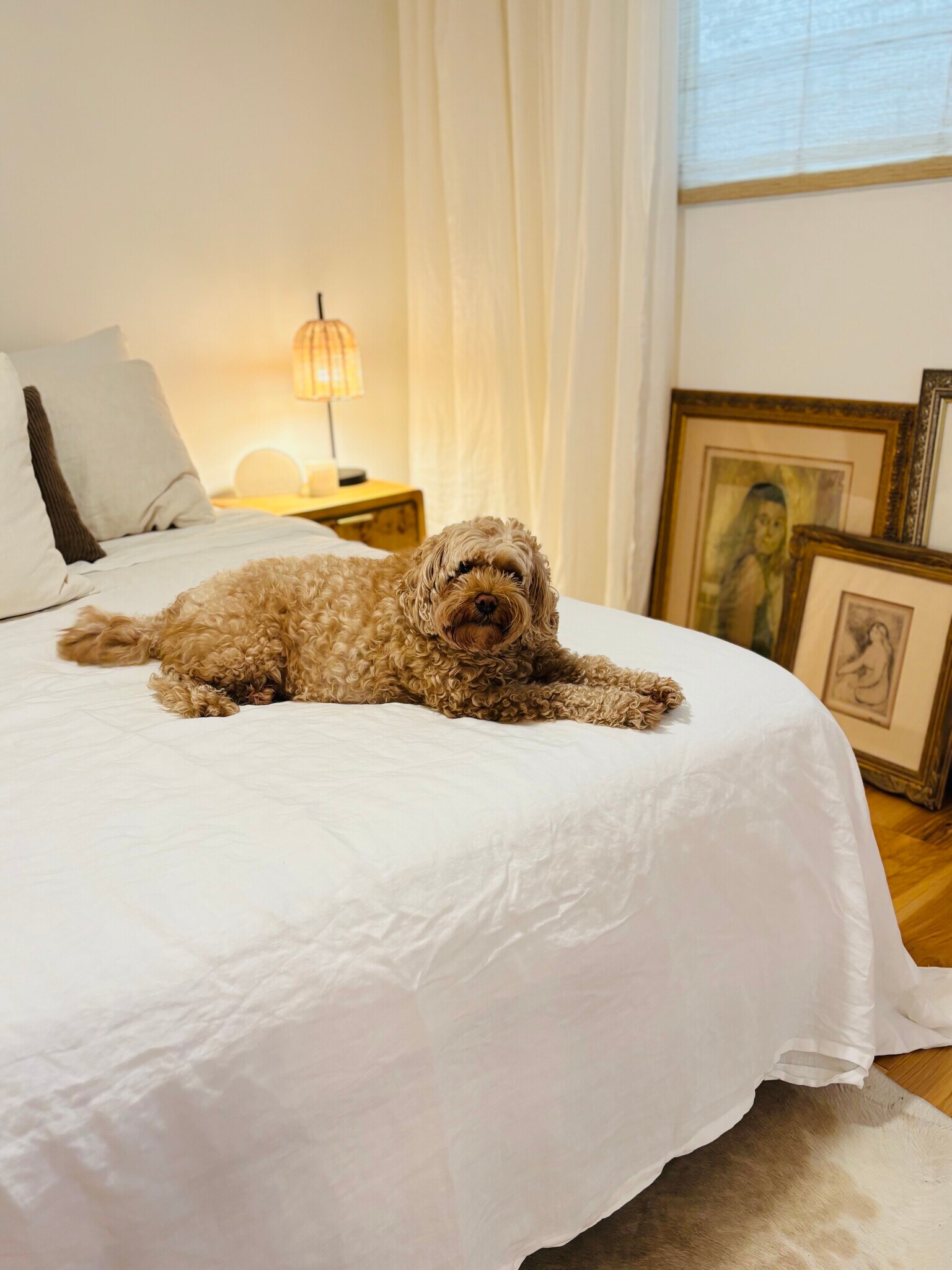 Building Photo - 413 14th St