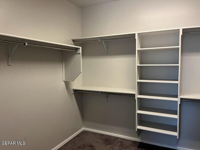 Building Photo - 1144 Morton Pl