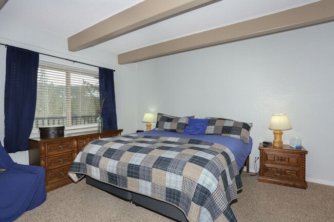 Building Photo - 2 bed, 2 bath in Breckenridge! Winter seas...