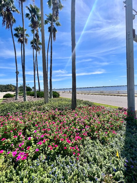 Building Photo - 2109 Bayshore Blvd