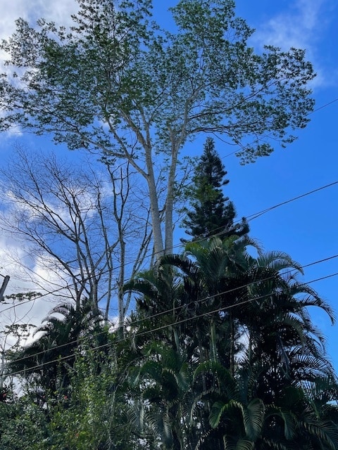 Building Photo - 15-2796-2796 Nenue St