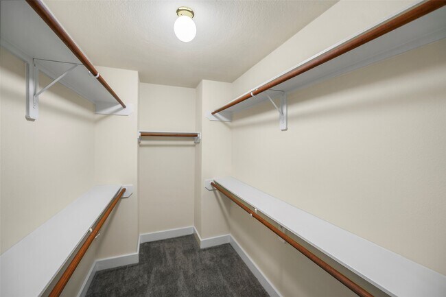 Building Photo - 6346 Torrance Elms Ct