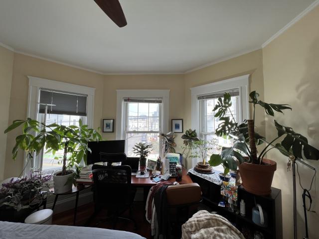 Primary Photo - 4 bedroom in Somerville MA 02143