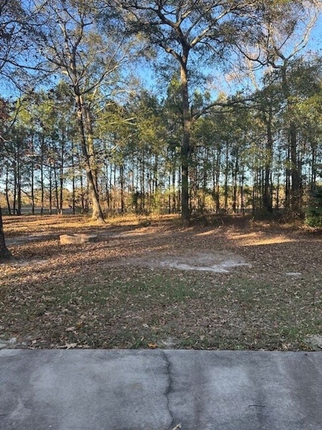 Building Photo - 3 Bed/2 Bath Home - 10 minutes to SJAFB!