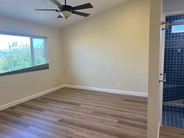 Building Photo - 246 Luiseno Ave