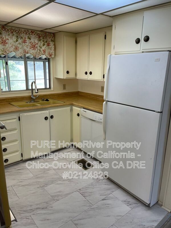 Building Photo - 533 Silver Leaf Dr