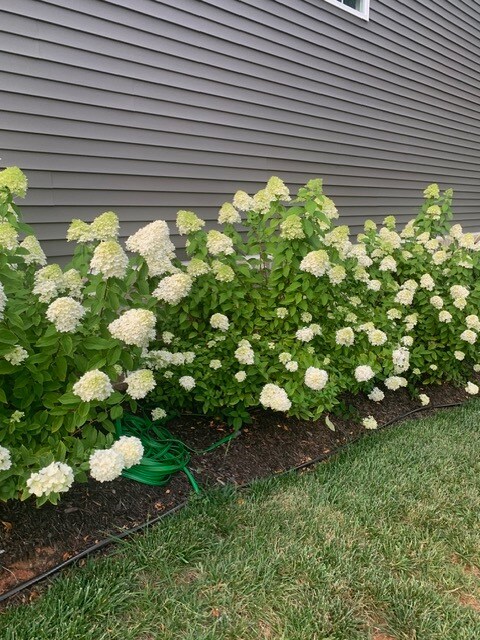 Building Photo - 42 Beech Tree Ln