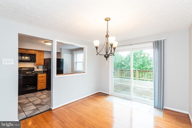 Building Photo - 3348 Raccoon Ct