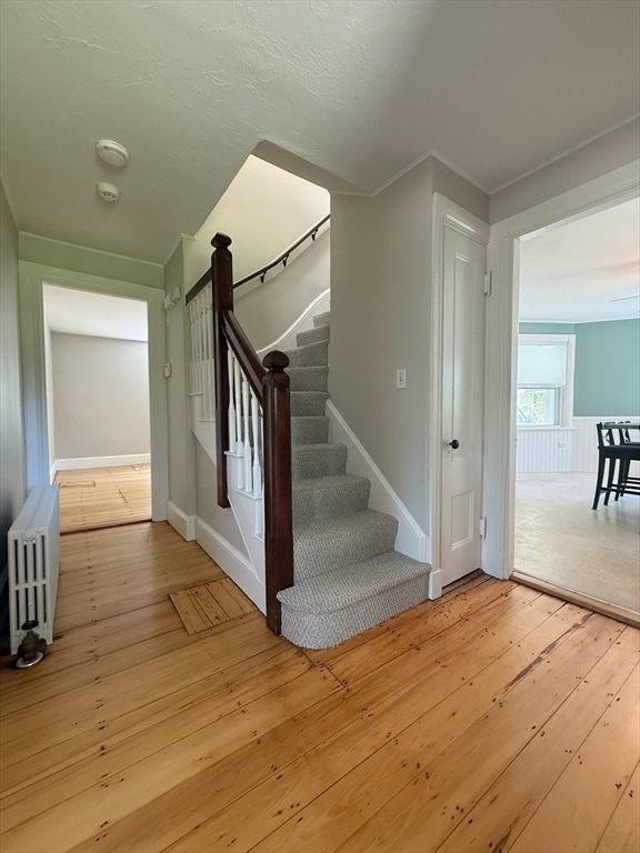 Building Photo - 149 Elm St