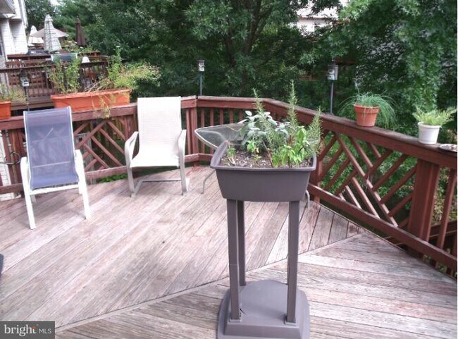 Building Photo - 13014 Shamrock Glen Dr