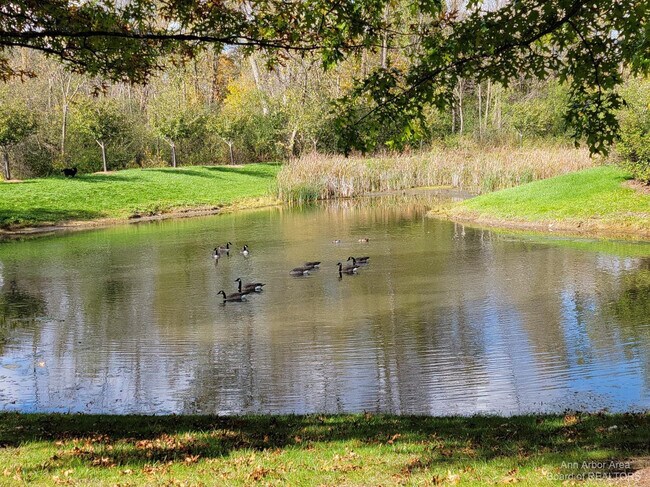 Building Photo - 2765 Barclay Way