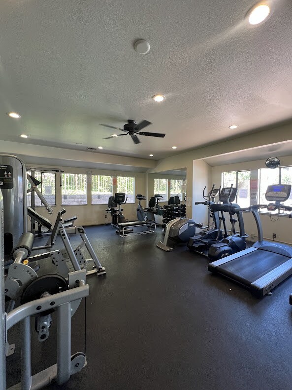 Gym - 21103 Gary Dr