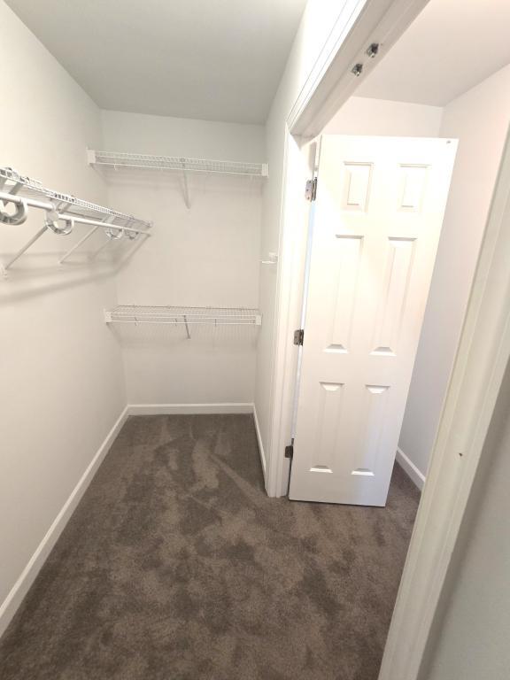 Building Photo - 4808 Landover Keep Pl